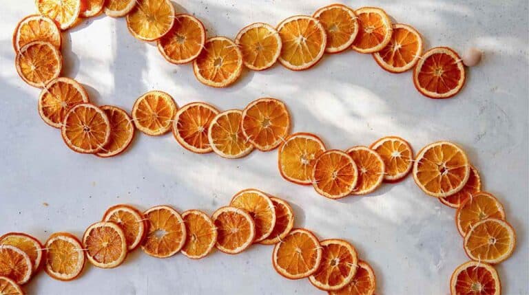 A dehydrated citrus wheel garland on a surface.