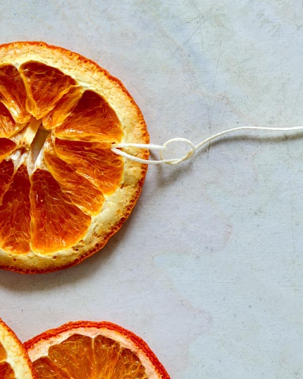 Making a knot at the end of dehydrated citrus. 