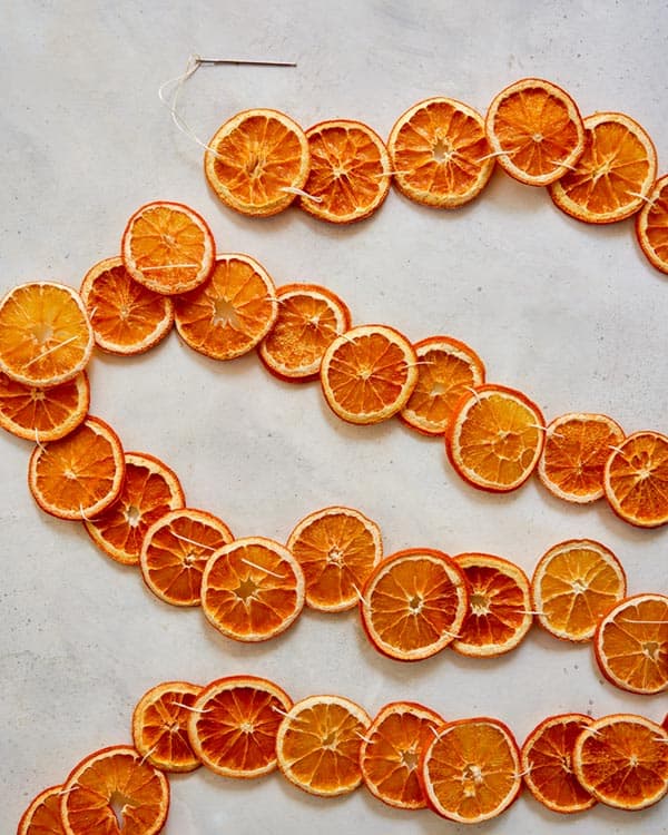 Dehydrated citrus strung on twine to make a garland.