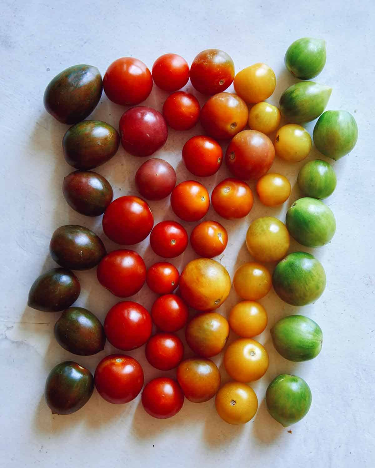 Heirloom cherry tomatoes in a row.