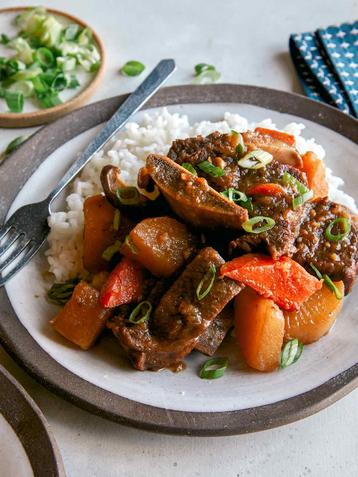 Galbi jjim served on a plate with rice and green onion. 