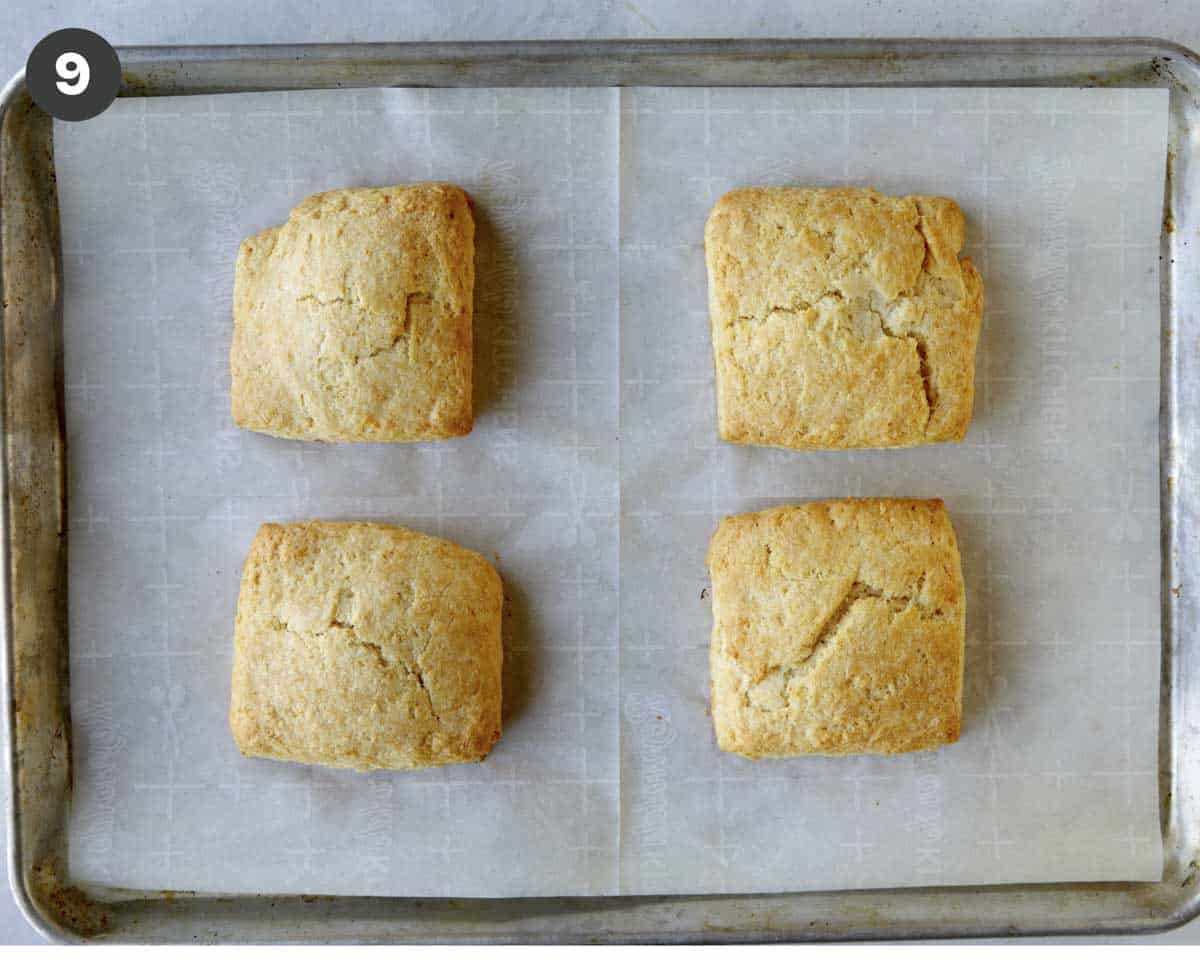 Freshly baked biscuits on a baking sheet. 