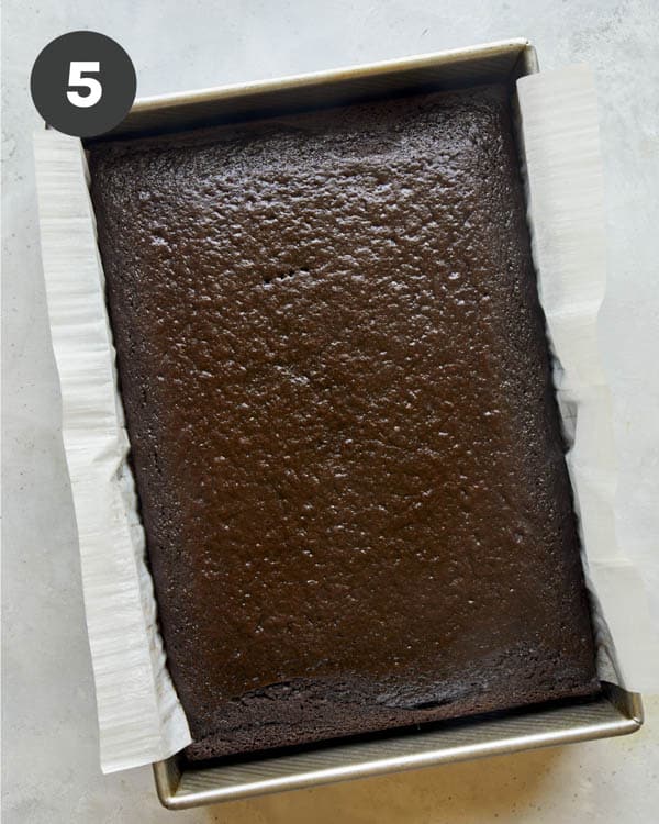 Baked chocolate cake in a pan.