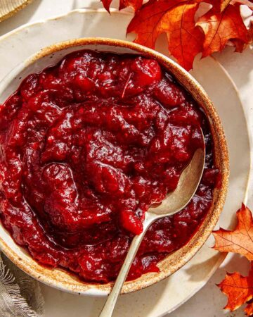 Cranberry sauce recipe in a bowl with a spoon.