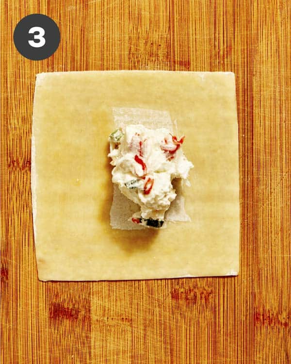 Crab rangoon filling on a wonton.
