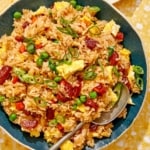 Fried rice in a bowl with green onions on the side.