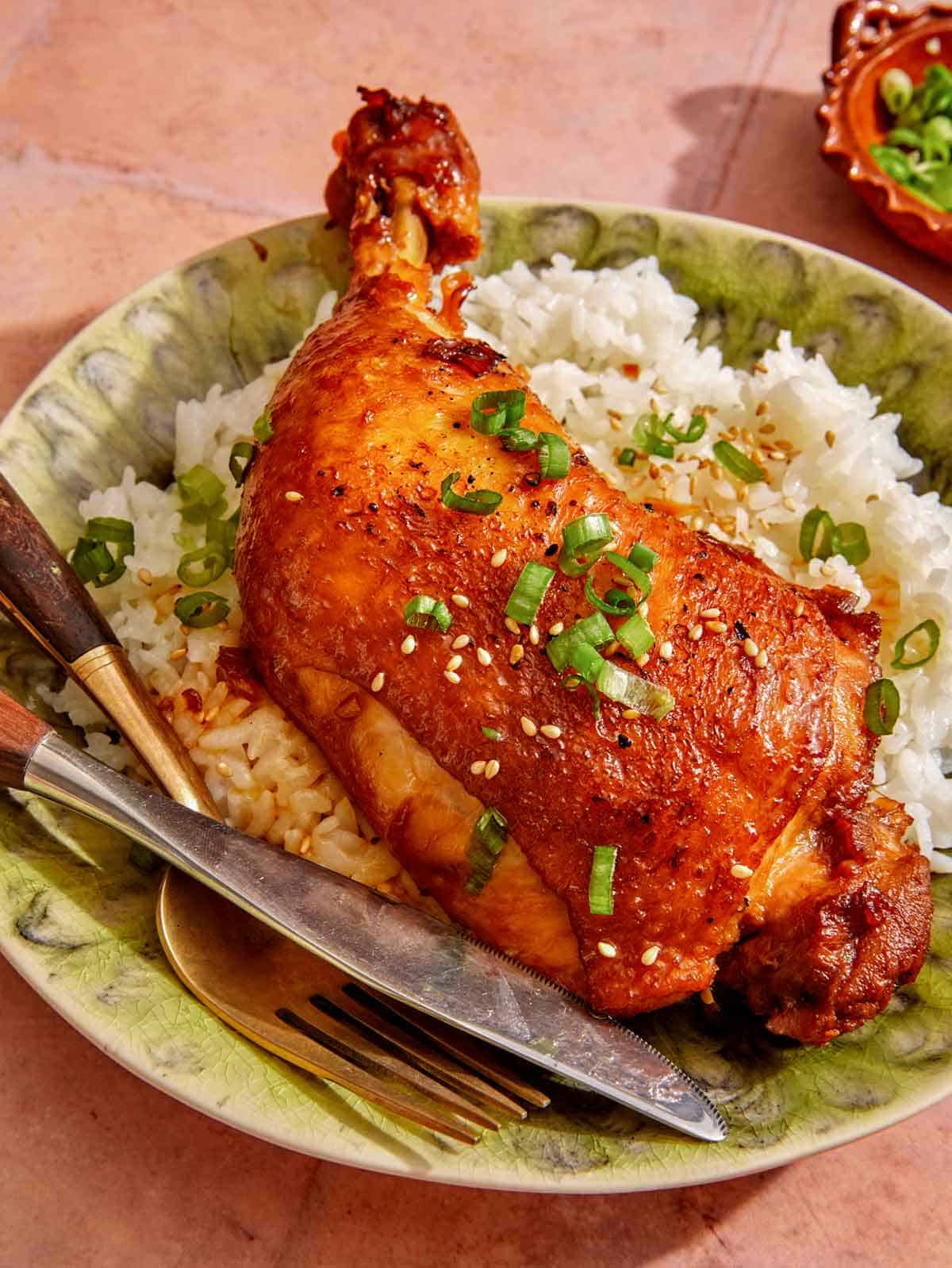 Braised chicken on a plate with rice.