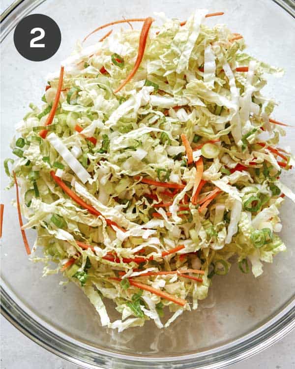 Vegetables in a bowl for okonomiyaki.