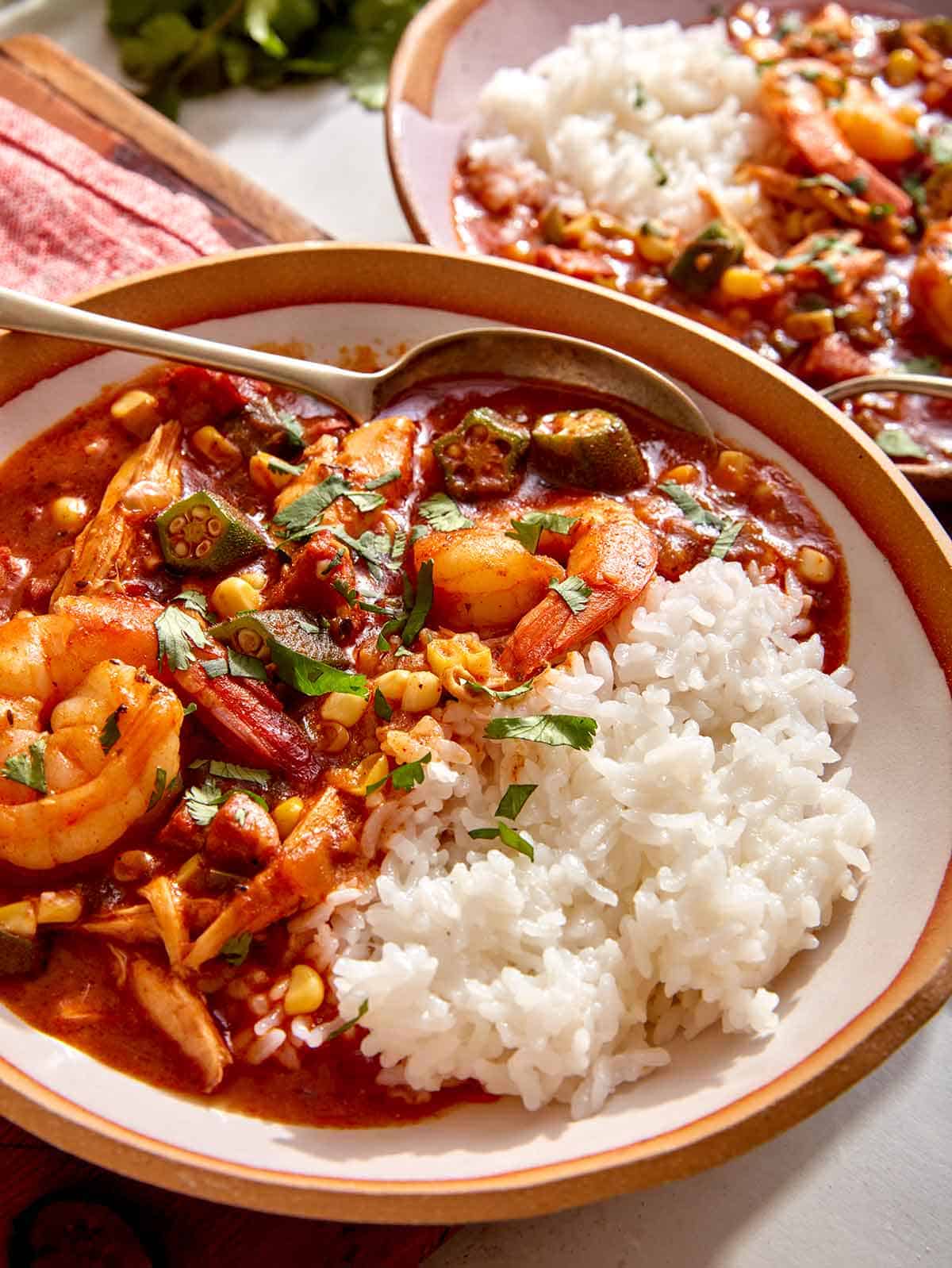 Close up of a bowl of gumbo with rice on the side. 