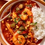 Close up on one big bowl of gumbo with a spoon in it.