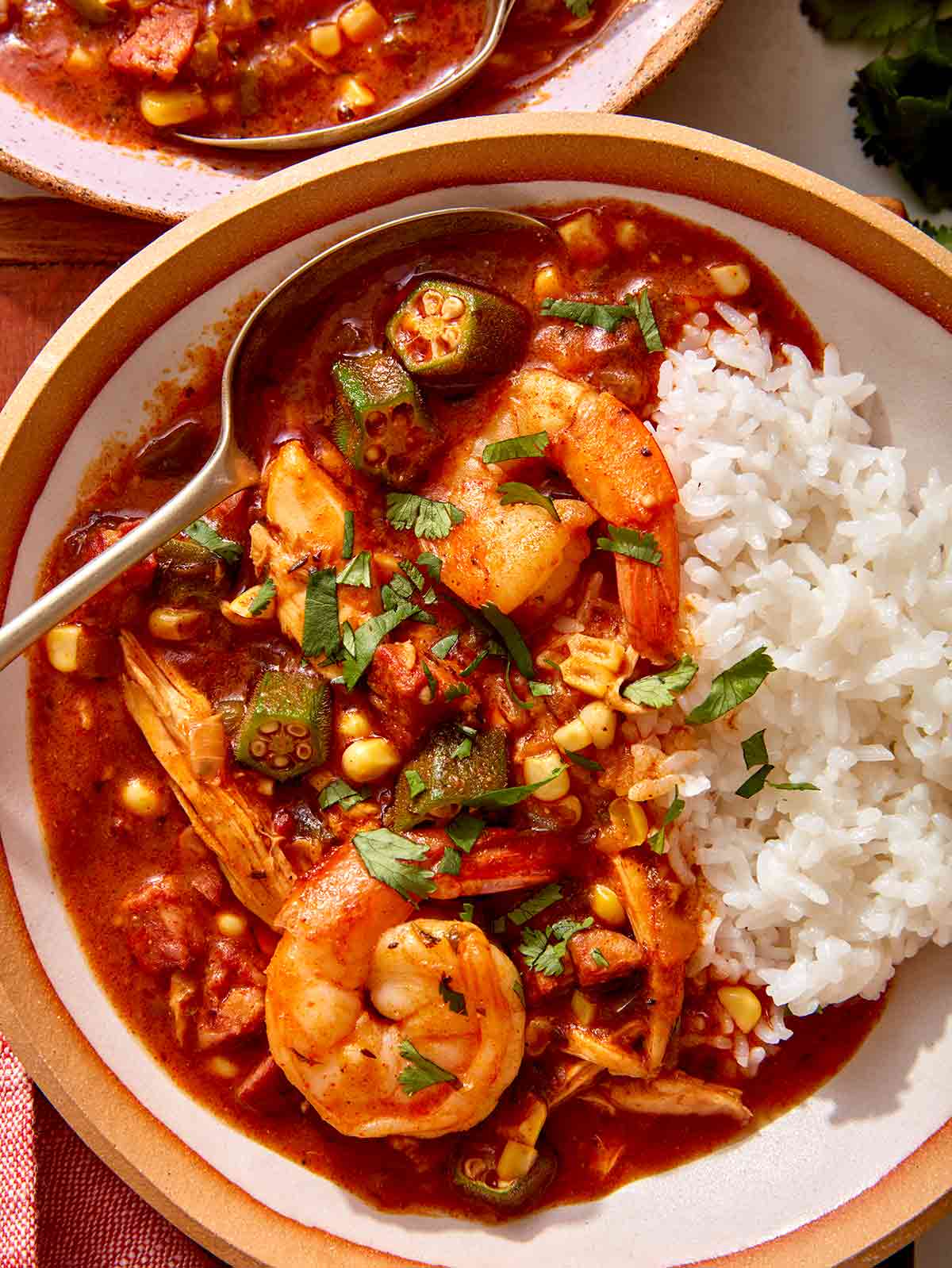 Close up on one big bowl of gumbo with a spoon in it. 