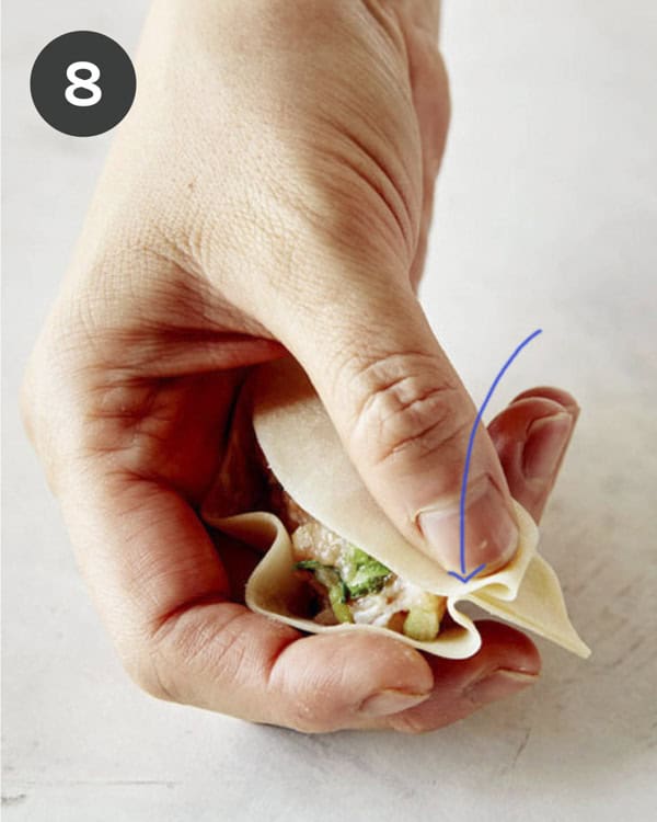 Pleating a wonton wrapper to make a potsticker. 