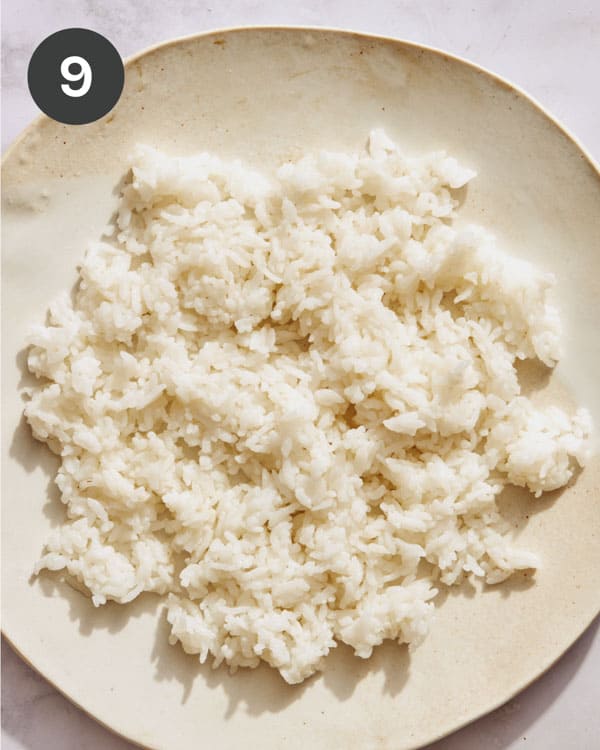 Rice on a plate, the base for Loco Moco.