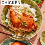 Braised chicken on a plate with rice.