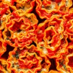 Close up overhead shot of lasagna roll ups in a baking dish.