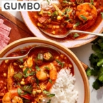 Two bowls of gumbo with cilantro on the side.